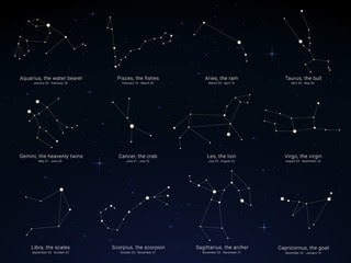 Zodiac Signs in Astrotheme Birth Charts