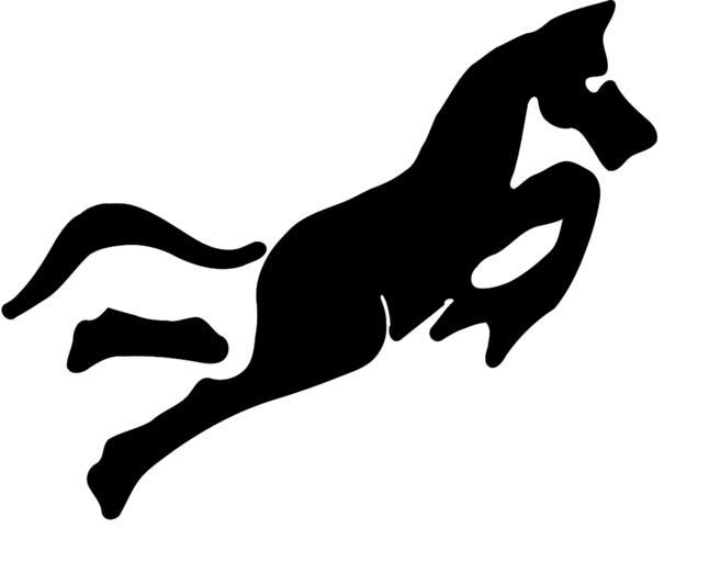 horse chinese zodiac