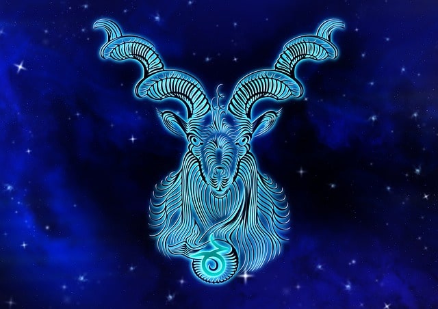 zodiac sign capricorn