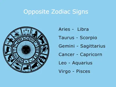 opposite zodiac signs