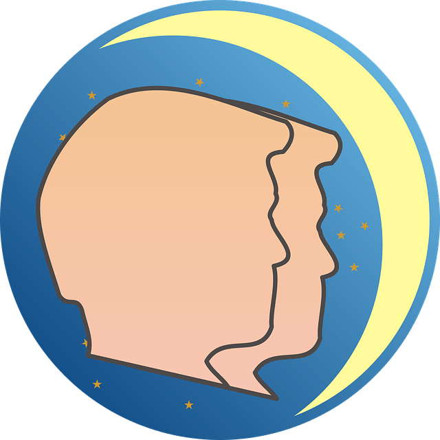gemini zodiac sign