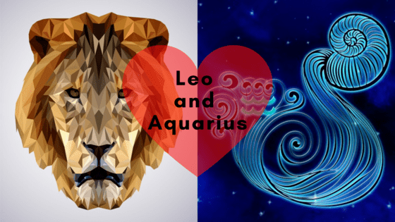 leo and aquarius