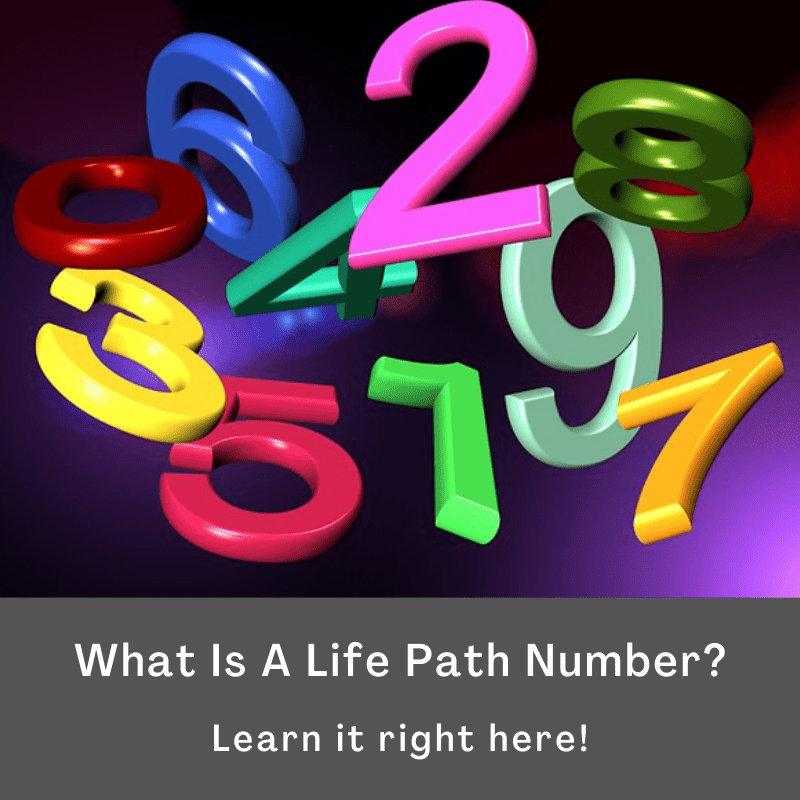 what is a life path number