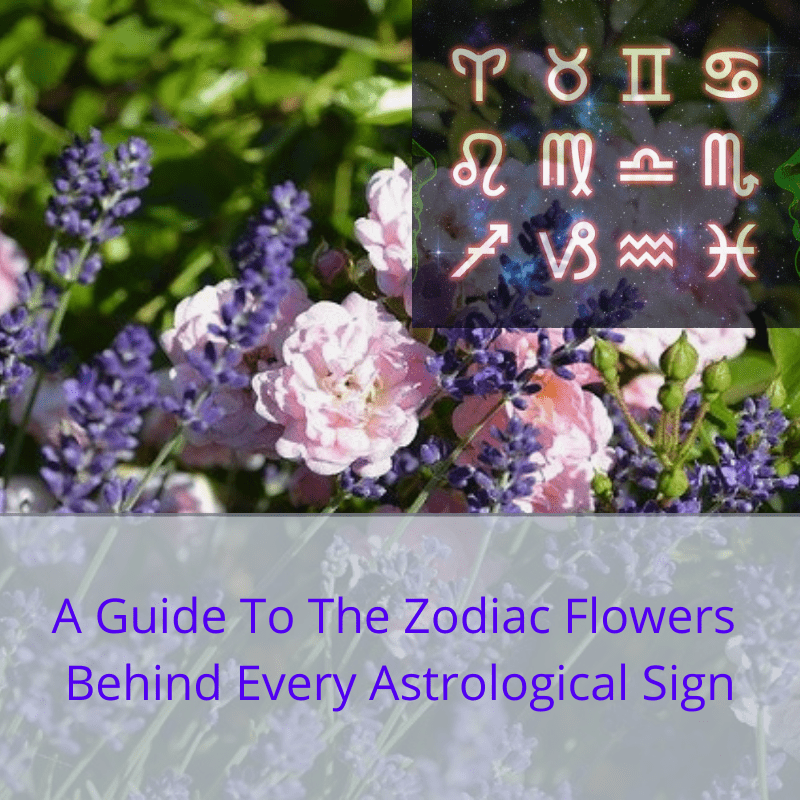 zodiac flowers