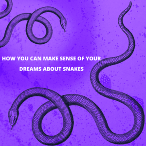 dreams about snakes