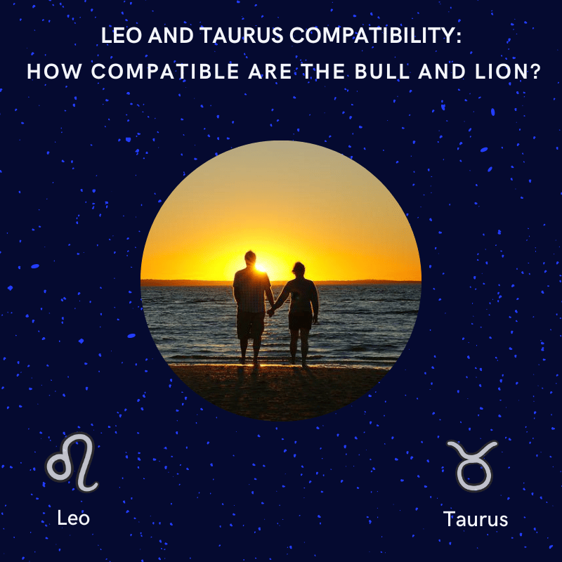 Leo and Taurus Compatibility: How compatible are the Bull and Lion?
