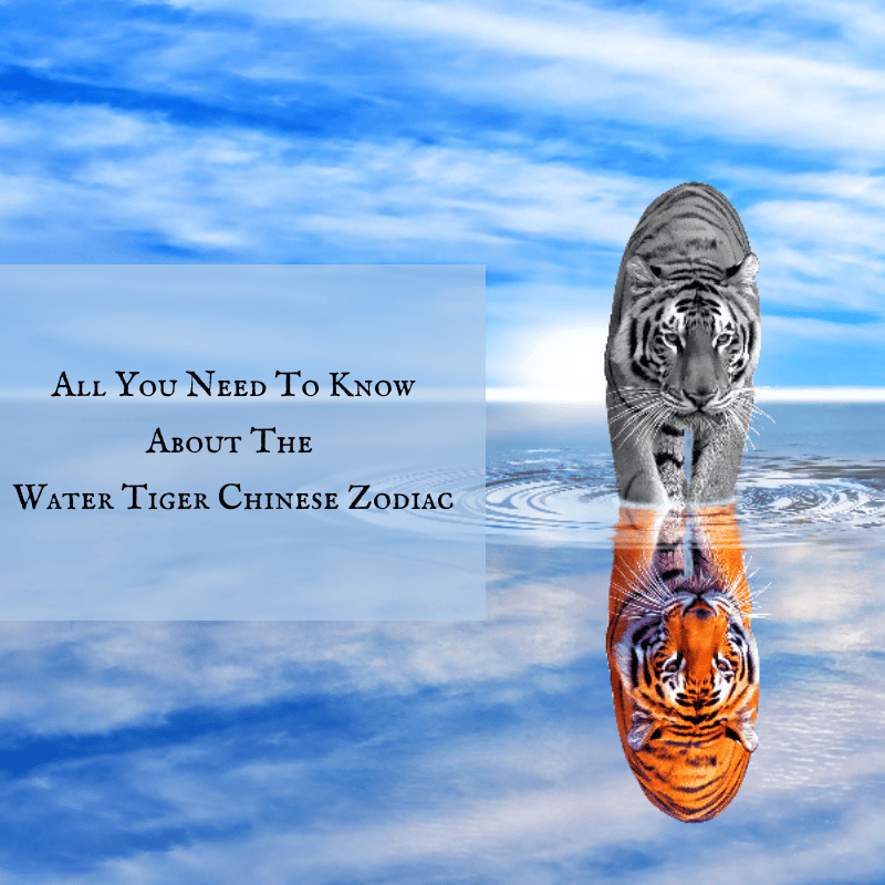 All You Need To Know About The Water Tiger Chinese Zodiac