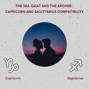 capricorn and sagittarius compatibility