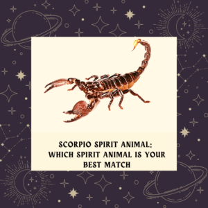 scorpio spirit animal