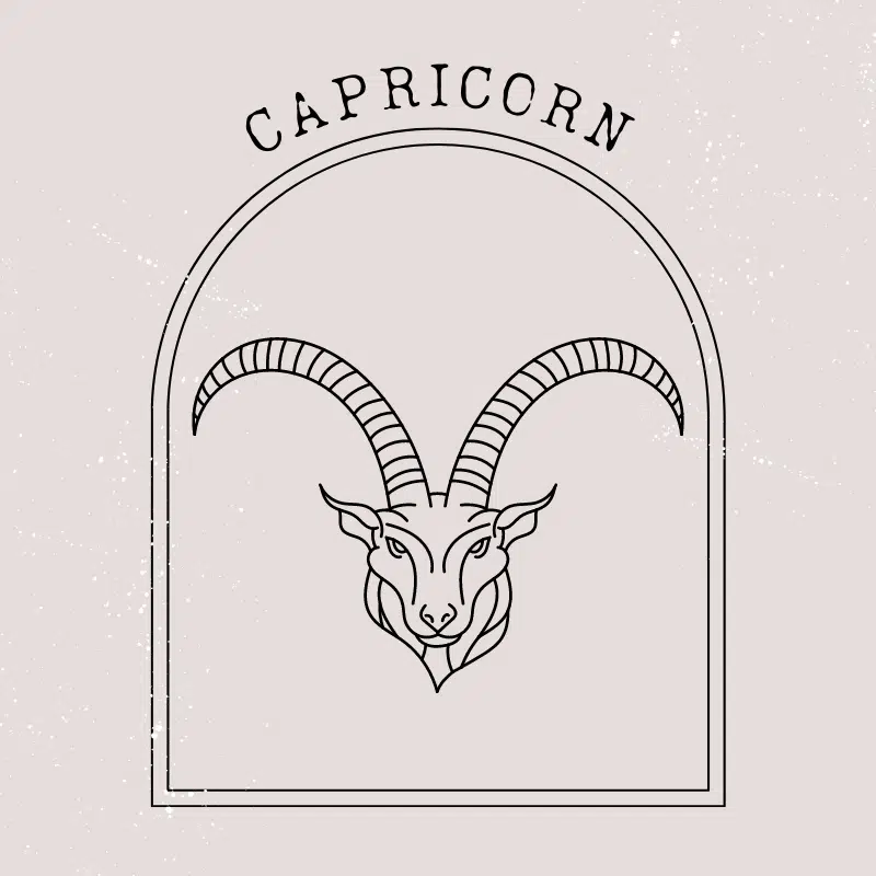capricorn zodiac
