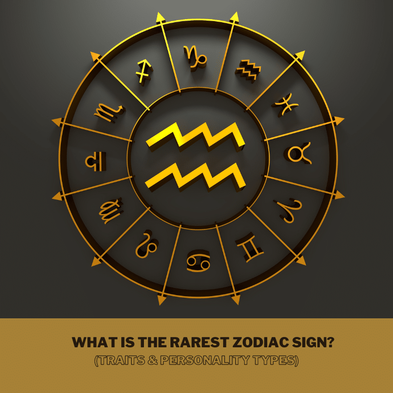 What Is the Rarest Zodiac Sign? (Traits & Personality Types)