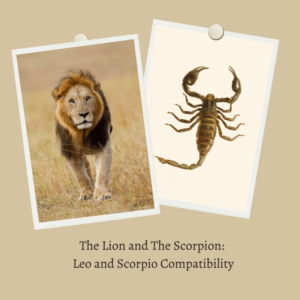 leo and scorpio compatibility
