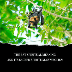 bat spiritual meaning