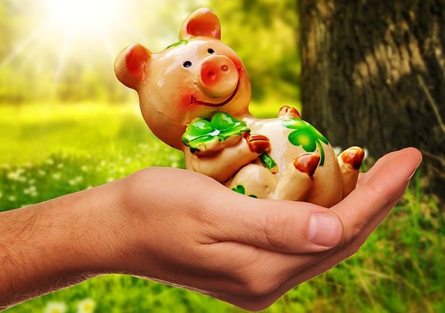 good luck - lucky pig