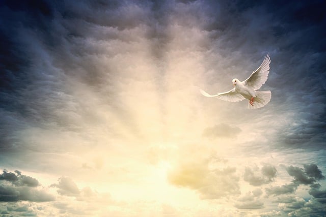 peace and hope
