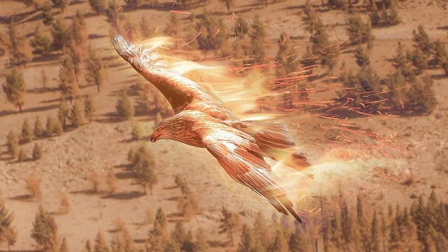 flying phoenix