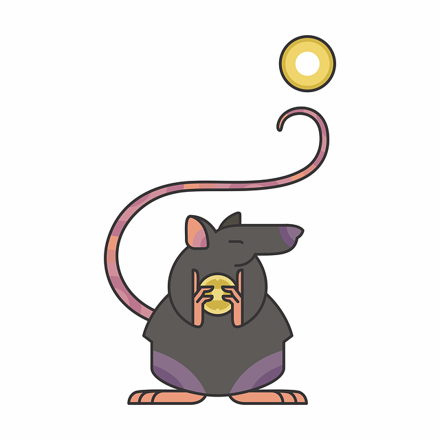 rat chinese zodiac