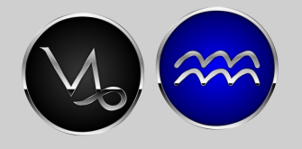 capricorn and aquarius