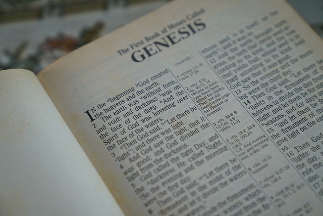 an open bible displaying the genesis creation story