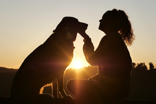 silhouette of a woman and her dog against the sun