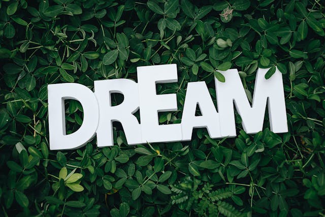dream