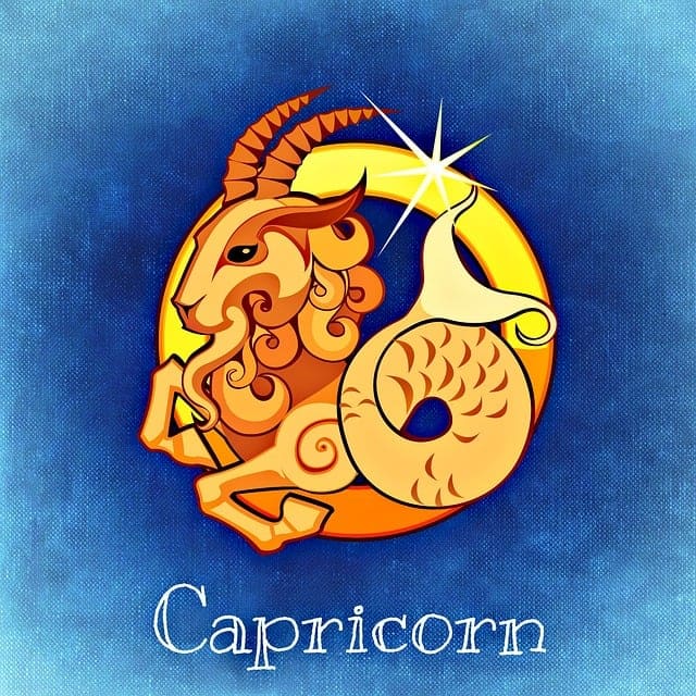 capricorn zodiac sign