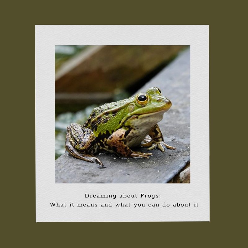dreaming about frogs
