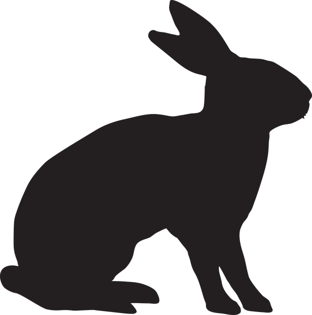rabbit chinese zodiac