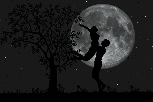 romantic silhouette of a man and woman under the soft light of the moon