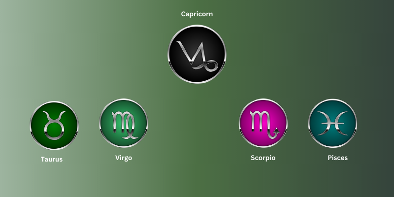 capricorn friendship