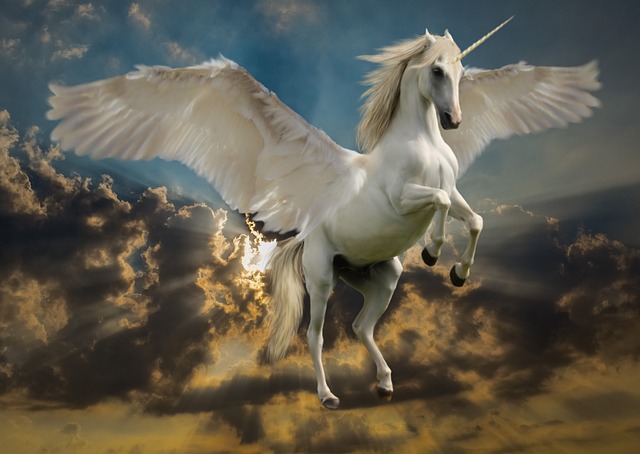 unicorn