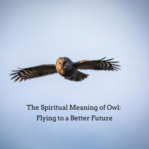 spiritual meaning of owl