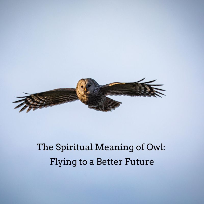 spiritual meaning of owl