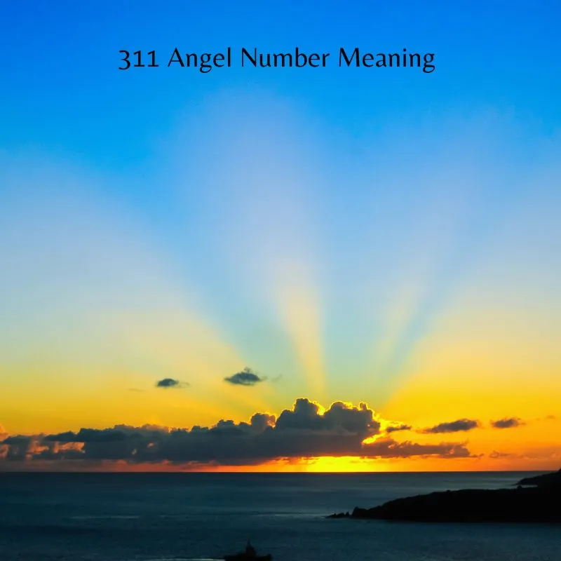 311 angel number