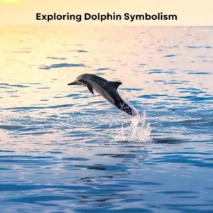 dolphin symbolism