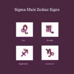 sigma male zodiac signs
