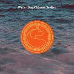 water dog chinese zodiac