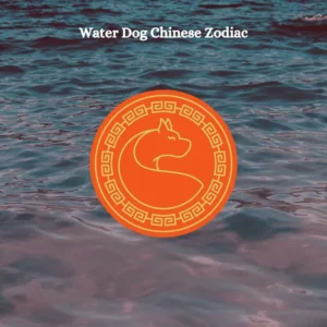 water dog chinese zodiac