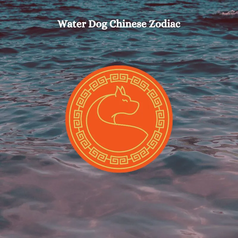 water dog chinese zodiac
