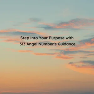 313 angel number
