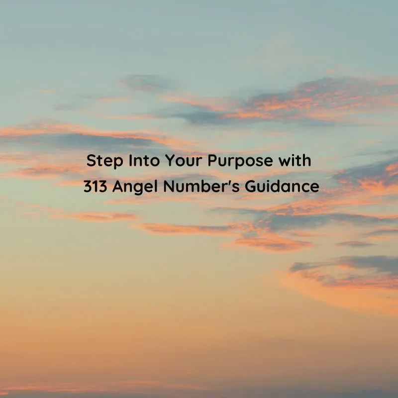 313 angel number