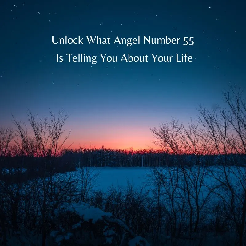 angel number 55