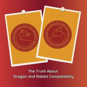 dragon and rabbit compatibility