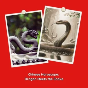 dragon and snake compatibility