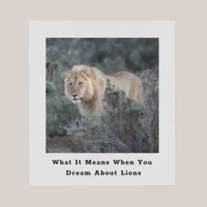 dreams about lions
