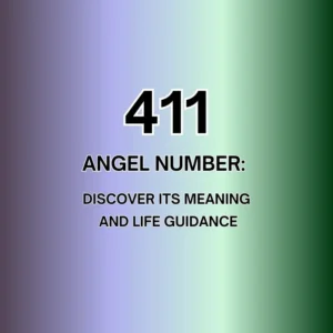 411 angel number