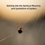 spider spiritual meaning