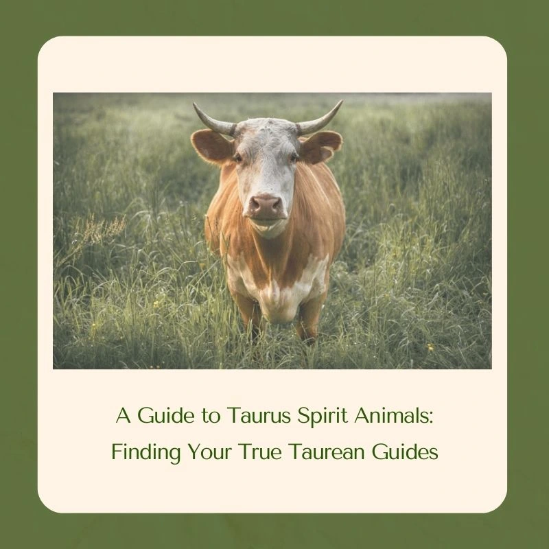 taurus spirit animal