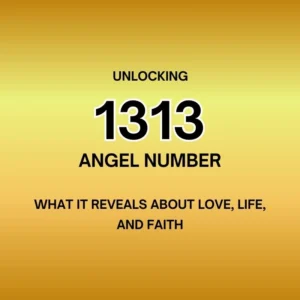 1313 angel number