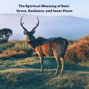 deer spiritual meaning